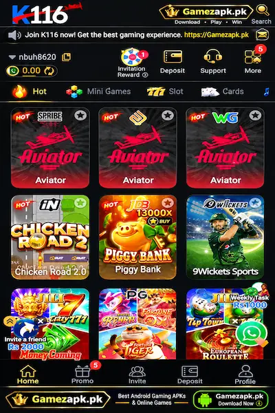 K116 Game interface