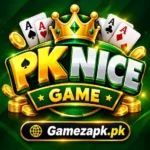 PK NICE Game logo